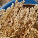 성송면사무소 이미지