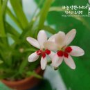 (합)한빛환경
