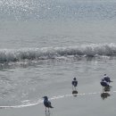 별빛i어린이집 | 2026 부산 !