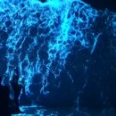 부산광역시 영도구 해양로 이미지