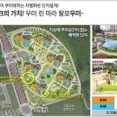 남양로, 남양중앙로 이미지