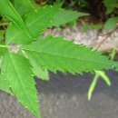 송월파크 이미지