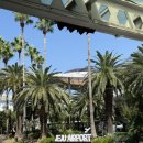 두꺼비로20번길(3-255) | 제주도 2박3일 여행기 | 일상 속에서 즐긴 소소한 기록