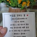 제피로스플라워 | 마포구청역꽃집 제피로스플라워에서 나의 취향에 딱 맞는 꽃바구니 픽업 후기