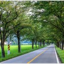 화월경로당 이미지