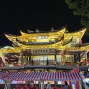 발그미조명 | 상하이 가볼만한곳 야경명소 예원 구곡교 고덕지도