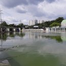 성화낚시터 이미지