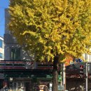 세븐일레븐 종로창성점 이미지