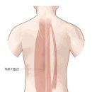 스타짐(창전점) 이미지