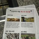 고양 스타필드 맛집 삼송 보성숯불가든