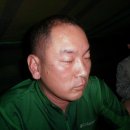 돼지들의이야기 이미지