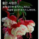 구연4로 이미지