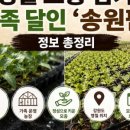 서경원농장 네이버블로그