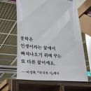 무림농장 | 2025년 서울국제도서전 후기_믿을 구석
