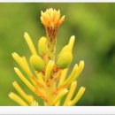 흑송농장(2) 이미지