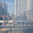 SG삼성조은병원 | 천안 불당동 SG삼성조은병원 기존 썬팅지 제거 후 열차단필름,사생활보호필름,눈부심감소필름 재시공...