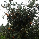 소로낚시터 이미지