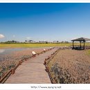 우전 태양광발전소 이미지