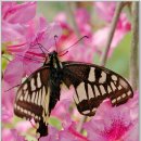 달맞이 펜션 이미지