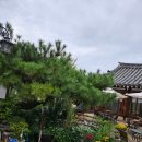 문화사랑채 | [공지] [로터스립] 경주1894사랑채 방문후기