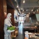 늘푸른스파동광 이미지