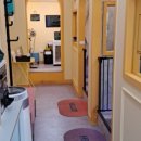 유폴24시 애견셀프목욕 이미지