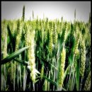 가온헬스케어 이미지