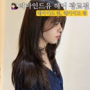 차세대융합기술연구원 노동조합 | [수원 광교] 💇🏻‍♀️얼굴형 맞춤 헤어 컨설팅 + 레이어드 컷 + 레이어드펌 잘하는 미용실 추천