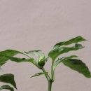 감성헤어(인천도원점) 이미지