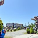 라라랜드 애견 펜션 이미지