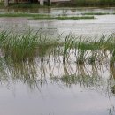 공간 2007 이미지