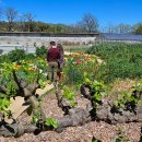 리언농장 이미지