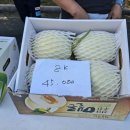 대한민국 멜론1번지 제1회 천안시 수신 멜론 축제 2024.6.1 (토) ~ 6.2(일) 상록리조트 주차장