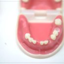 햇살치과의원 이미지