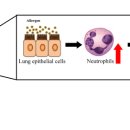 효능평가센터 이미지