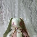 Honey Bunny 이미지