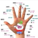 파코메리 이미지