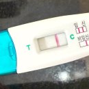 헬로우메디 | [임신준비#2] 임신 준비 방법&amp;아이템들 모음zip (배테기/임테기/어플추천/베이비댄스)