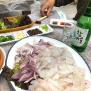 금자활어