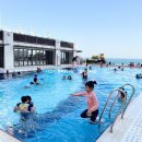 청주온천스넥 | 2박3일 부산 가족여행 1편 : 파라다이스호텔 / 동백섬 / 금수복국 / 버거인뉴욕