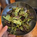 동래부산식당 | 동래회식모임장소 추천 동래고기맛집 꽃돼지식당 부산동래점 후기!