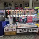 속초대일호방어1 네이버블로그