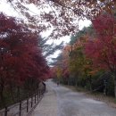 장원초등학교 이미지