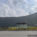 GS25단양가곡점 이미지