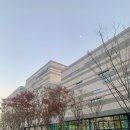 어린이도서관 | 📚대구도서관 어린이자료실 방문후기 — 아이랑 다녀온 포근한 책 여행