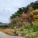 하서중학교 이미지