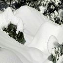 용궁해물탕 이미지