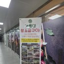계룡크리닝세탁소 네이버블로그