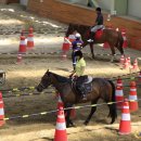 운주산승마자연휴양림 이미지