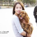 정다빈 카카오 검색결과